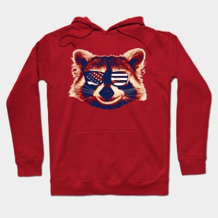 Raccool with  American Flag USA - Glasses Hoodie